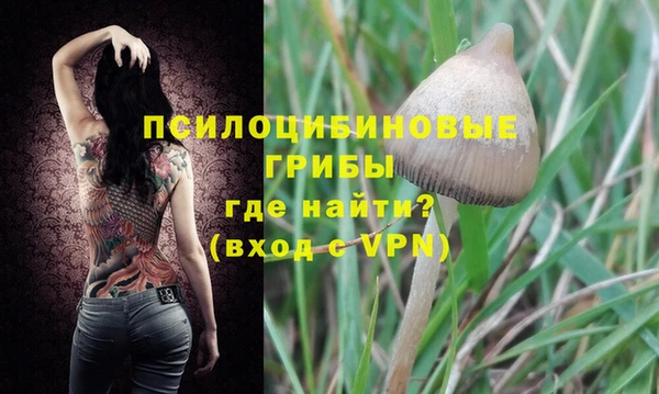 mdpv Алексин