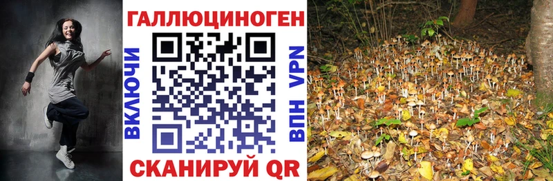 Псилоцибиновые грибы мицелий  Сенгилей 